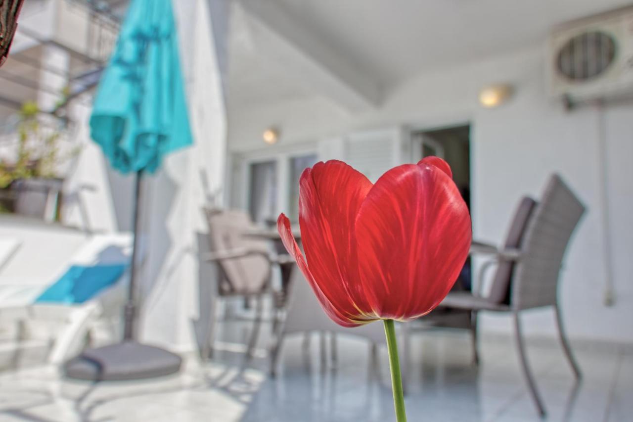 Apartments Birimac Póla Kültér fotó